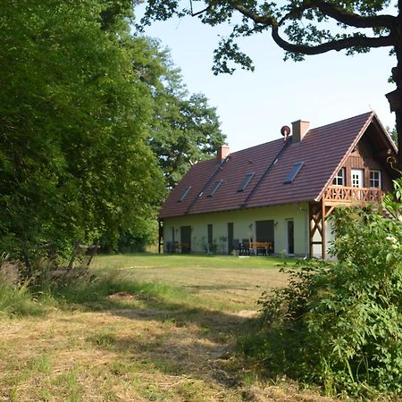 Vierseitenhof Appartements Burg  Eksteriør bilde