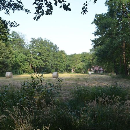Vierseitenhof Appartements Burg  Eksteriør bilde