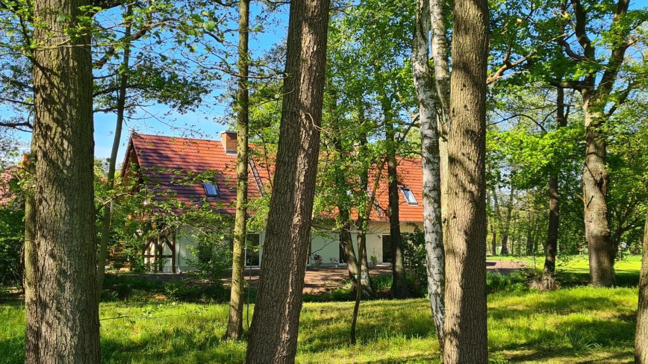 Vierseitenhof Appartements Burg  Eksteriør bilde
